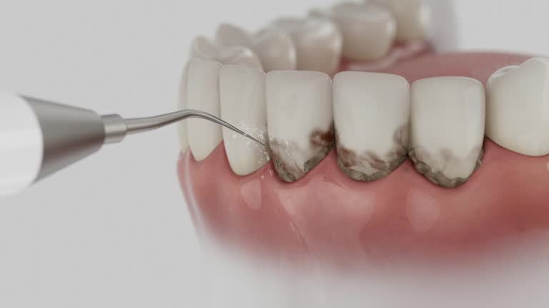 Reliable Dental contractor in Cheboygan, MI by Dentist Open Now
